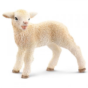 lamb1