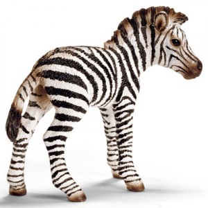zebra foal