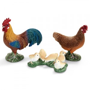chicken family
