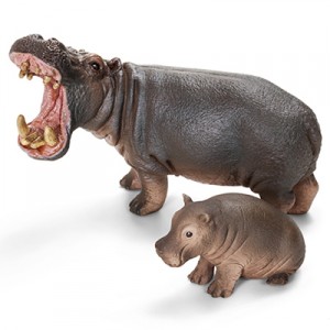 hippo family