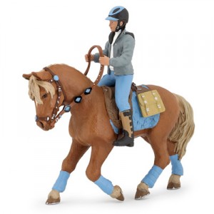 horse and rider