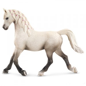 arabian mare