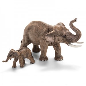 asian elephants