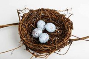 blue eggs3