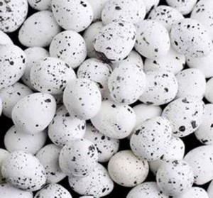 white eggs